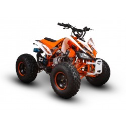 ATV/QUAD COPII BARTON ROCKY 125 CC '24 ATV/QUAD COPII BARTON ROCKY 125 CC '24