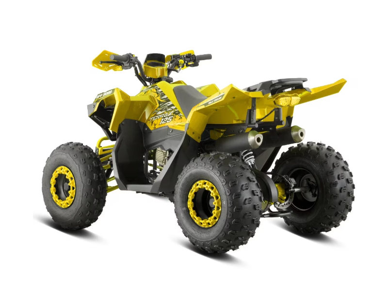 ATV/QUAD COPII BARTON TERRAX 125 CC (galben) ATV/QUAD COPII BARTON TERRAX 125 CC (galben)
