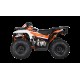 ATV/Quad Copii KAYO AU125 124cc cu Roți 8” ATV/Quad Copii KAYO AU125 124cc cu Roți 8”