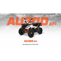 ATV/QUAD KAYO AU300 - OMOLOGARE T3B, INMATRICULABIL ATV/QUAD KAYO AU300 - OMOLOGARE T3B, INMATRICULABIL