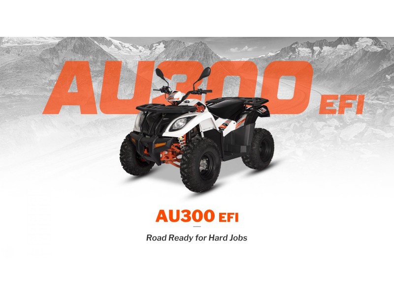 ATV/QUAD KAYO AU300 - OMOLOGARE T3B, INMATRICULABIL ATV/QUAD KAYO AU300 - OMOLOGARE T3B, INMATRICULABIL