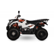 ATV/QUAD KAYO AU300 - OMOLOGARE T3B, INMATRICULABIL ATV/QUAD KAYO AU300 - OMOLOGARE T3B, INMATRICULABIL