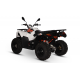 ATV/QUAD KAYO AU300 - OMOLOGARE T3B, INMATRICULABIL ATV/QUAD KAYO AU300 - OMOLOGARE T3B, INMATRICULABIL