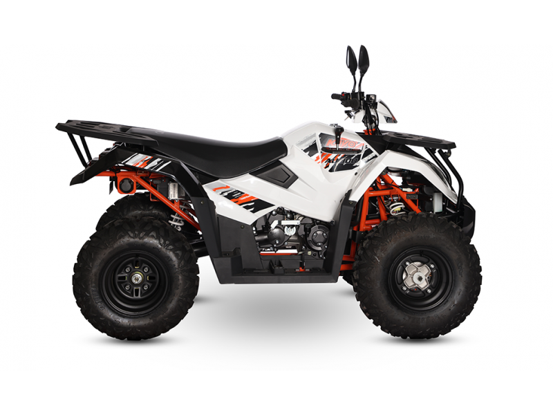 ATV/QUAD KAYO AU300 - OMOLOGARE T3B, INMATRICULABIL ATV/QUAD KAYO AU300 - OMOLOGARE T3B, INMATRICULABIL