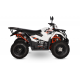ATV/QUAD KAYO AU300 - OMOLOGARE T3B, INMATRICULABIL ATV/QUAD KAYO AU300 - OMOLOGARE T3B, INMATRICULABIL
