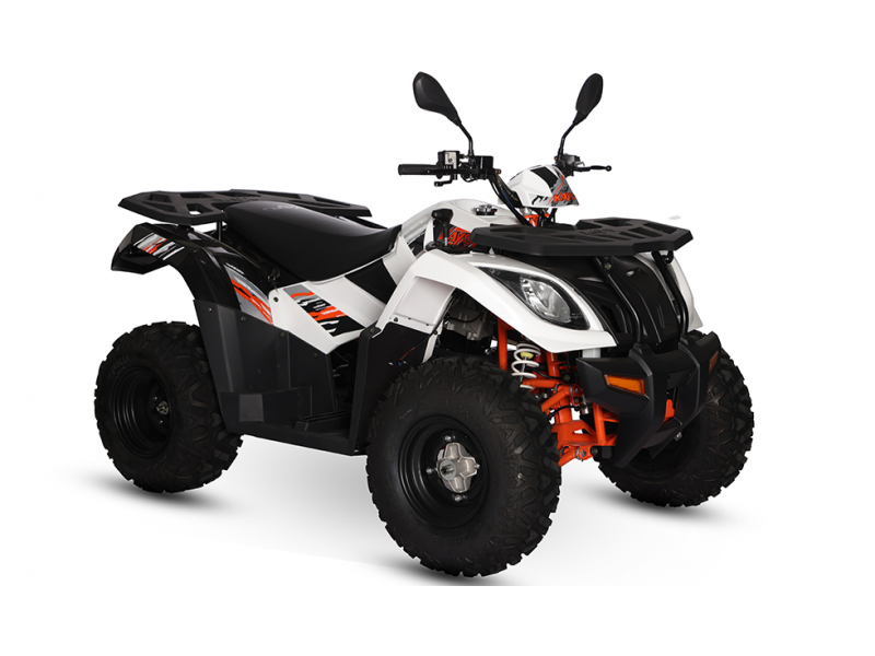 ATV/QUAD KAYO AU300 - OMOLOGARE T3B, INMATRICULABIL ATV/QUAD KAYO AU300 - OMOLOGARE T3B, INMATRICULABIL