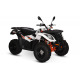 ATV/QUAD KAYO AU300 - OMOLOGARE T3B, INMATRICULABIL ATV/QUAD KAYO AU300 - OMOLOGARE T3B, INMATRICULABIL