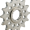 Pinion fata