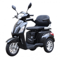 Vehicule electrice