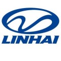 Pachete revizie ATV Linhai