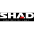 Shad