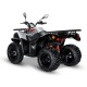 Kayo AU200 – ATV Utilitar 176cc, Motor 4T, Transmisie CVT, inmatriculabil