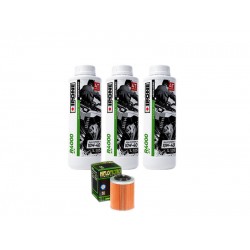 Pachet revizie ATV Linhai M565L, M570L, PROMAX 570/650, T-Boss 570, Landforce 650 (ulei motor) Pachet revizie ATV Linhai M565L, M570L, PROMAX 570/650, T-Boss 570, Landforce 650 (ulei motor)