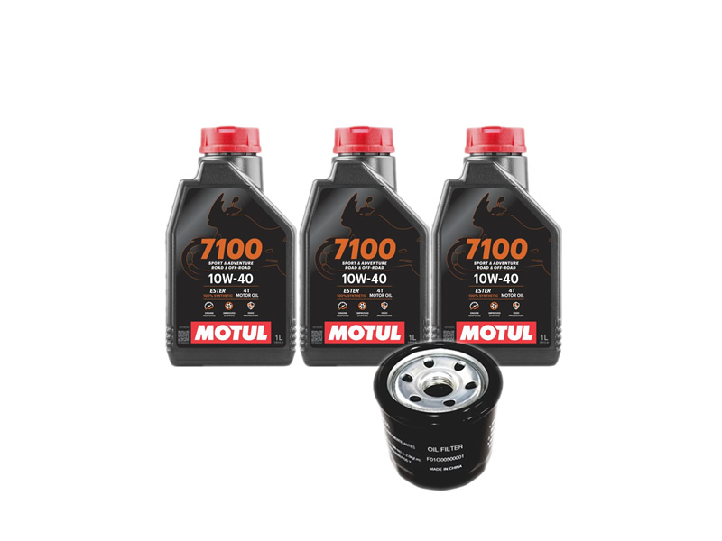 Pachet revizie ATV Segway Snarler AT5, AT6, AT10, UT6 (ulei motor Motul 7100)
