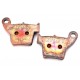 SET PLACUTE FRANA FERODO FDB2139SG