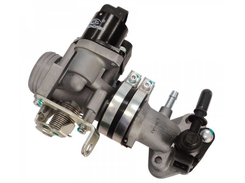 Throttle (stepper motor and TPS set)