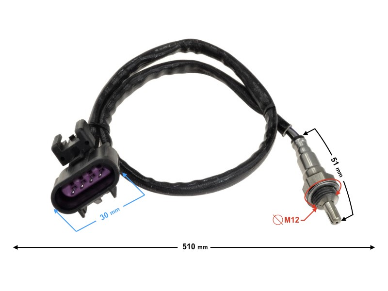 Lambda probe Delphi (B-Max)