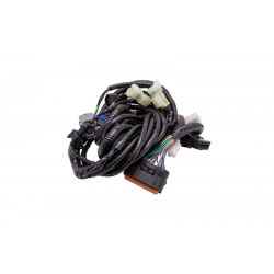 Electrical installation for FR2 moped