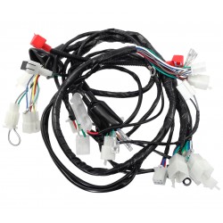 Electrical installation for Fighter 2 moped