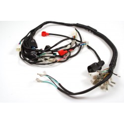 Electrical installation for Ranger Classic moped