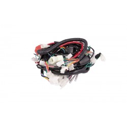 Electrical installation Fighter Euro 4