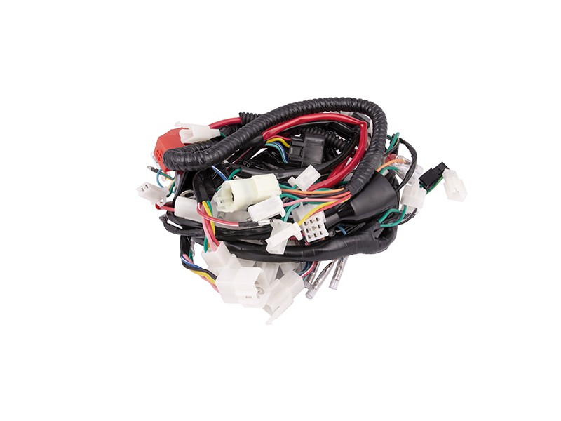 Electrical installation Fighter Euro 4