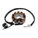 Ignition stator (magneto) ATV Mikilon 180 (H)