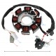 Ignition stator (magneto) for Travel 125 motorcycle