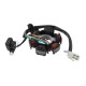Ignition stator (magneto) for Fighter 2 moped