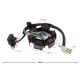 Ignition stator (magneto) for Fighter 2 moped