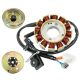 Ignition stator set (magneto) Scalpel 50