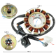 Ignition stator set (magneto) Scalpel 50