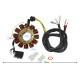 Ignition stator (magneto) Euro 4 for Classic 125 motorcycle