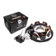 Ignition stator (magneto) for 4T 50cc Challanger scooter