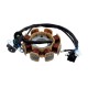 Ignition stator (magneto ) for Falcon 50 scooter