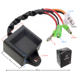 Ignition module for Falcon 1 scooter