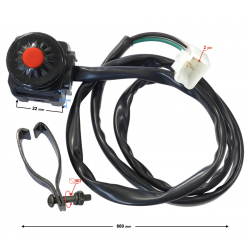 Ignition Switch NXT250 Base