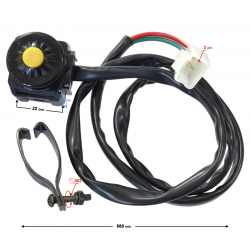 NXT250 Base Starter Switch