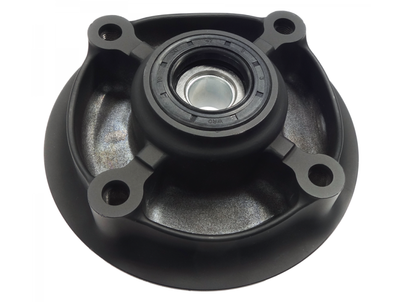 GT 125 rear wheel hub