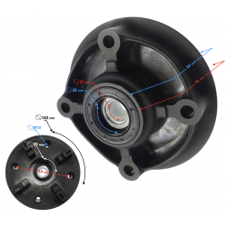 GT 125 rear wheel hub