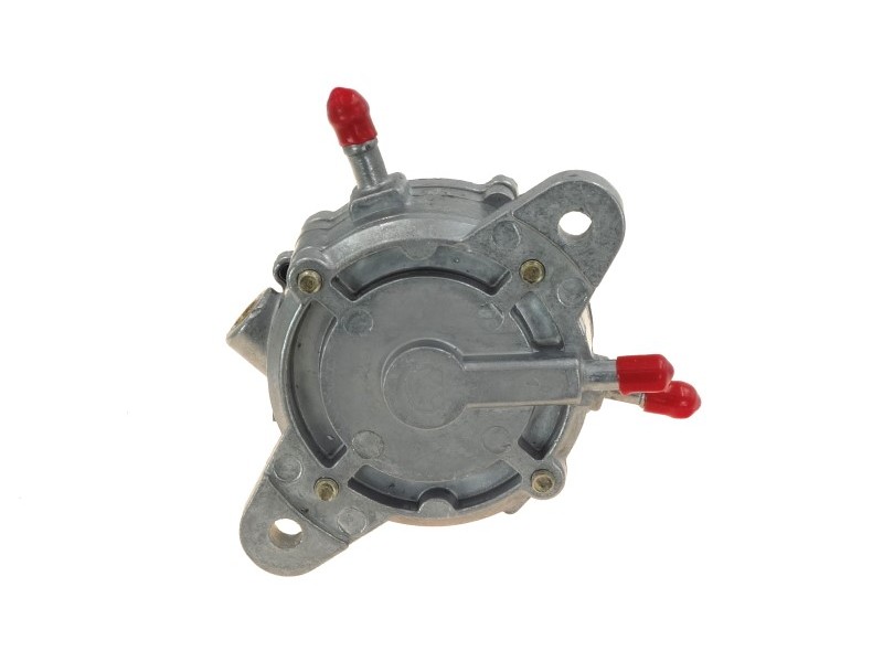 Fuel pump for B-Max scooter