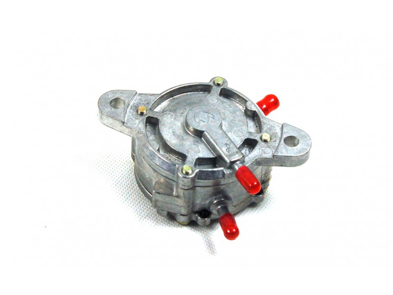 Fuel pump for B-Max scooter