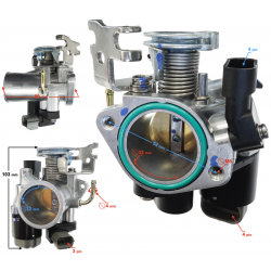GT 125 throttle