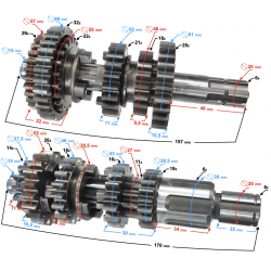 NXT250 Base gearbox