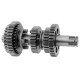 Gearbox for Cafe Racer motorcycle