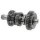 Gearbox for Cafe Racer motorcycle