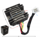 Voltage regulator Sprint , male ankle