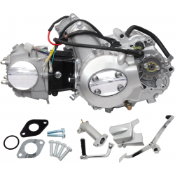 Horizontal engine 139FMB, 50cc 4T, 4 speed manual, silver