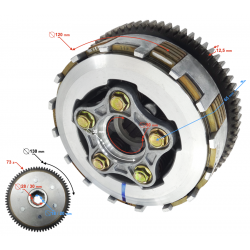 NXT250 Clutch