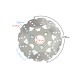 Front brake disc Scalpel 50 / Flash 50